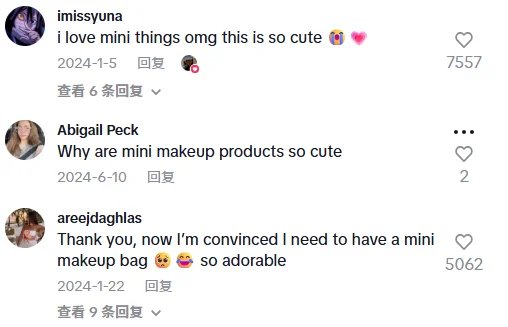 TikTok Makeup Bag Review