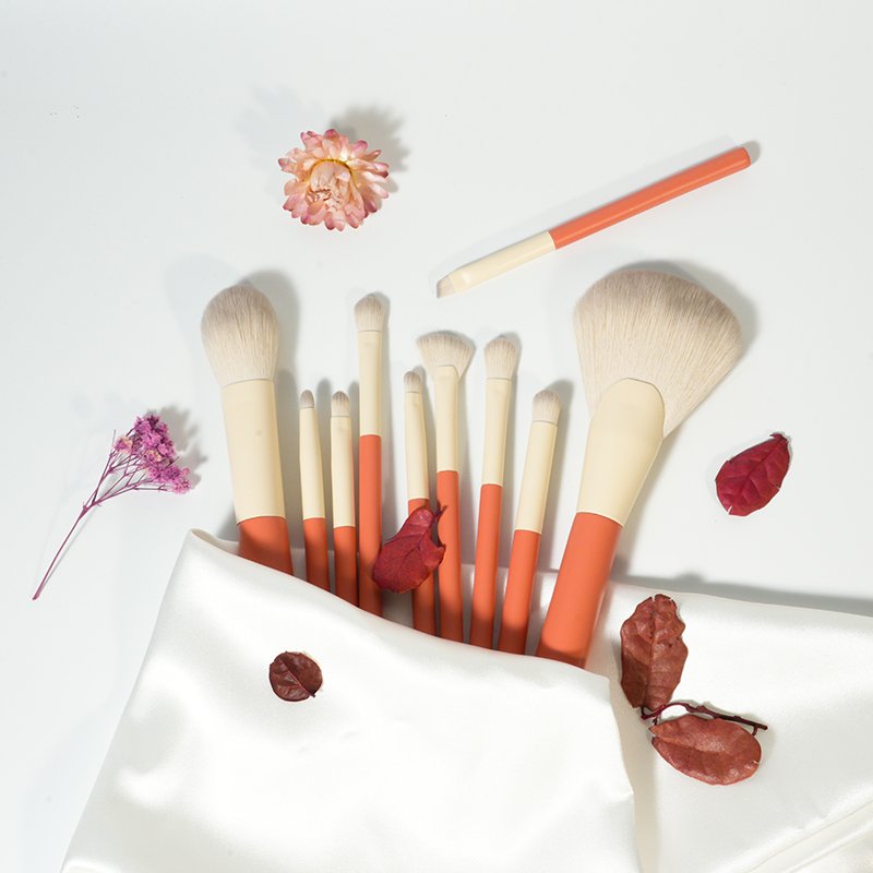 CF06 Private Label 10 Pieces Makeup Brush Collection Provider