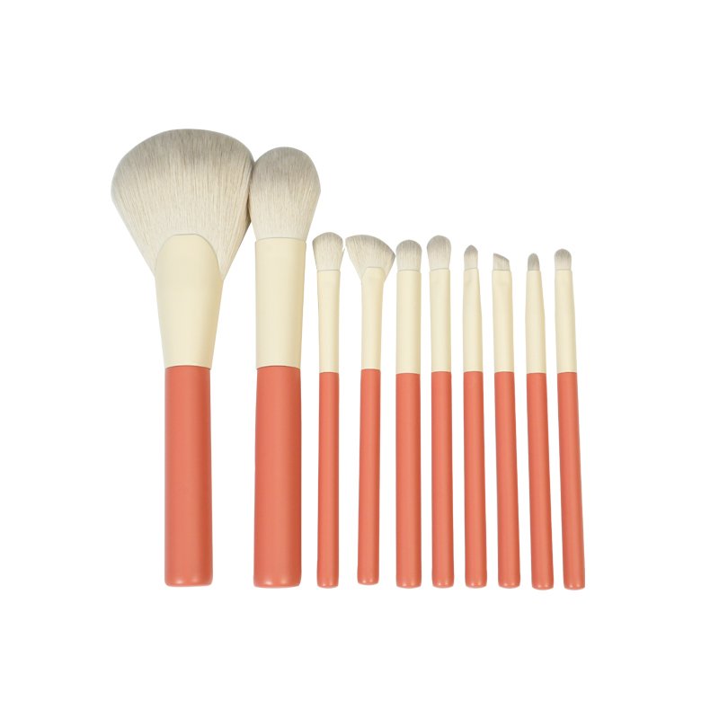 CF06 Private Label 10 Pieces Makeup Brush Collection Provider