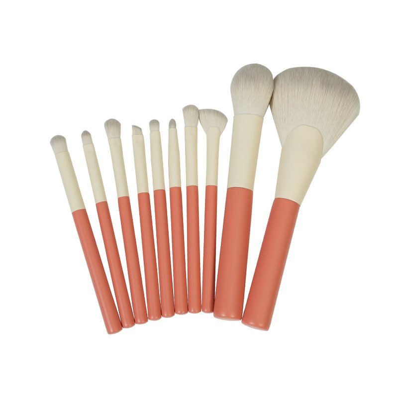 CF06 Private Label 10 Pieces Makeup Brush Collection Provider