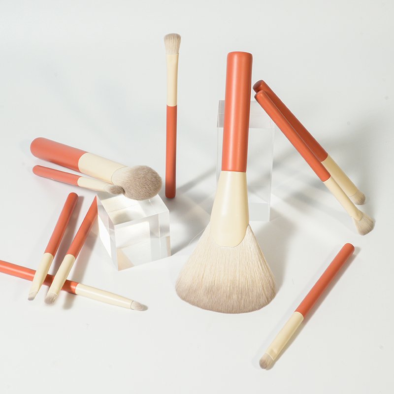 CF06 Private Label 10 Pieces Makeup Brush Collection Provider