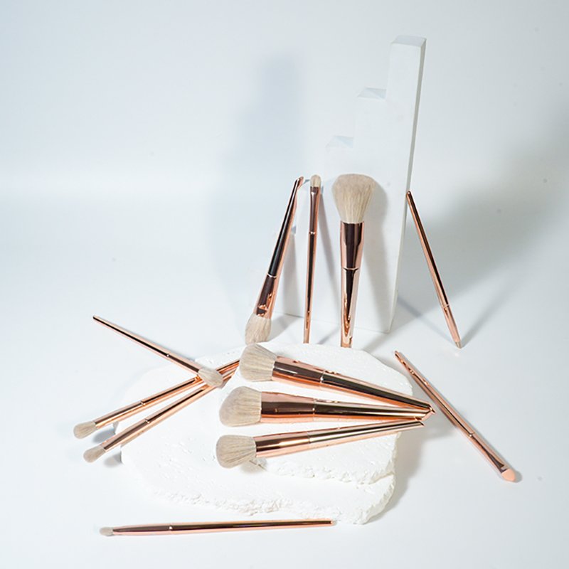 CF02 Custom Logo 12-Piece Face & Eye Brush Set Manufacturer