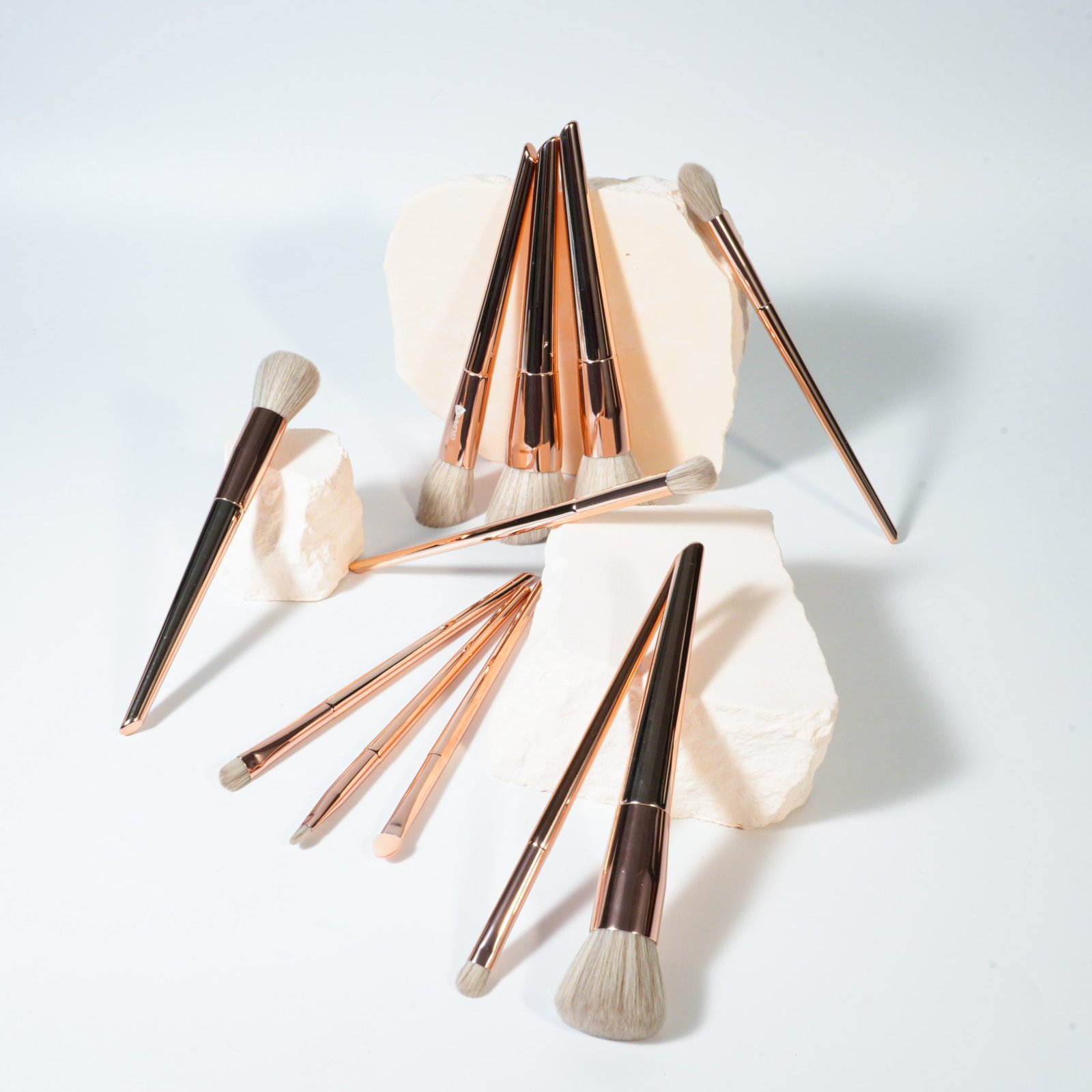 CF02 Custom Logo 12-Piece Face & Eye Brush Set Manufacturer